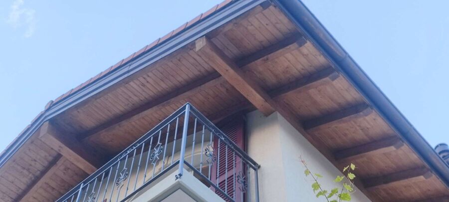 Bee nest at the house remove