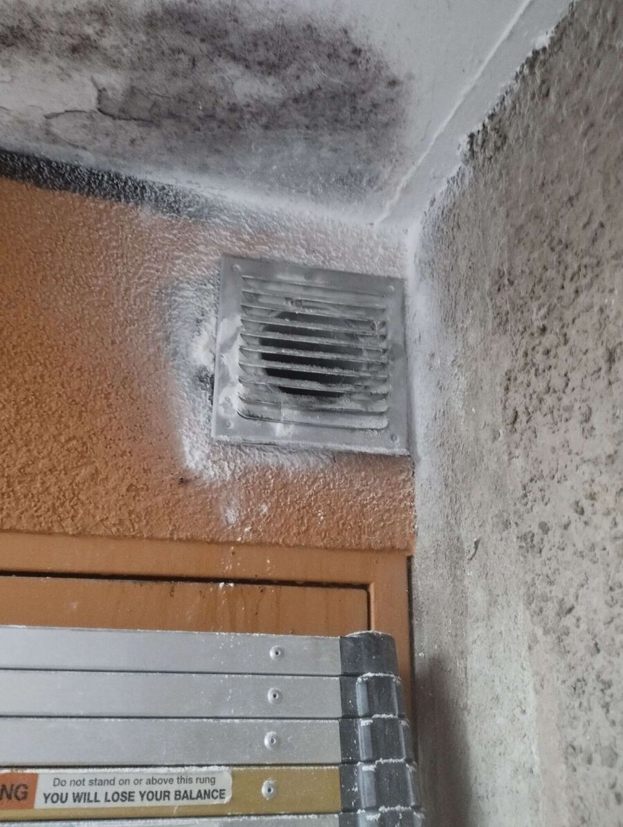 Bee nest at the house remove