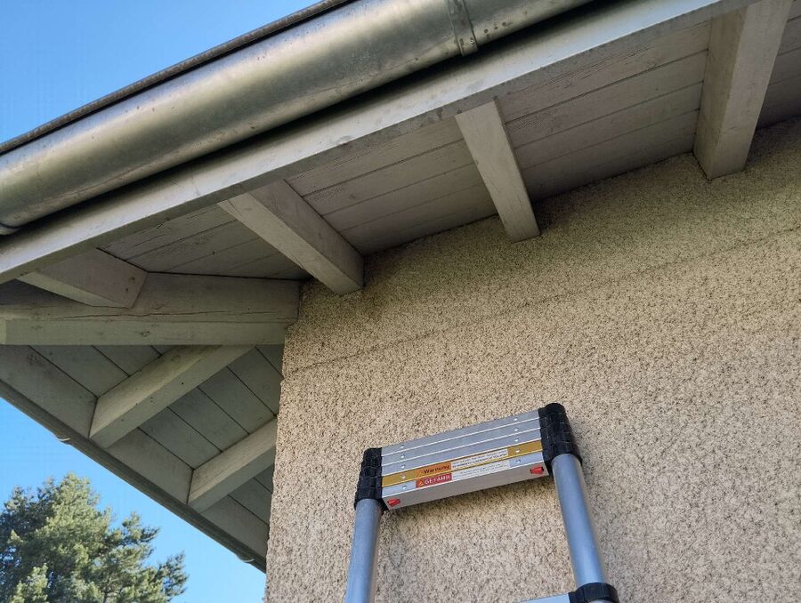 Bee nest at the house remove