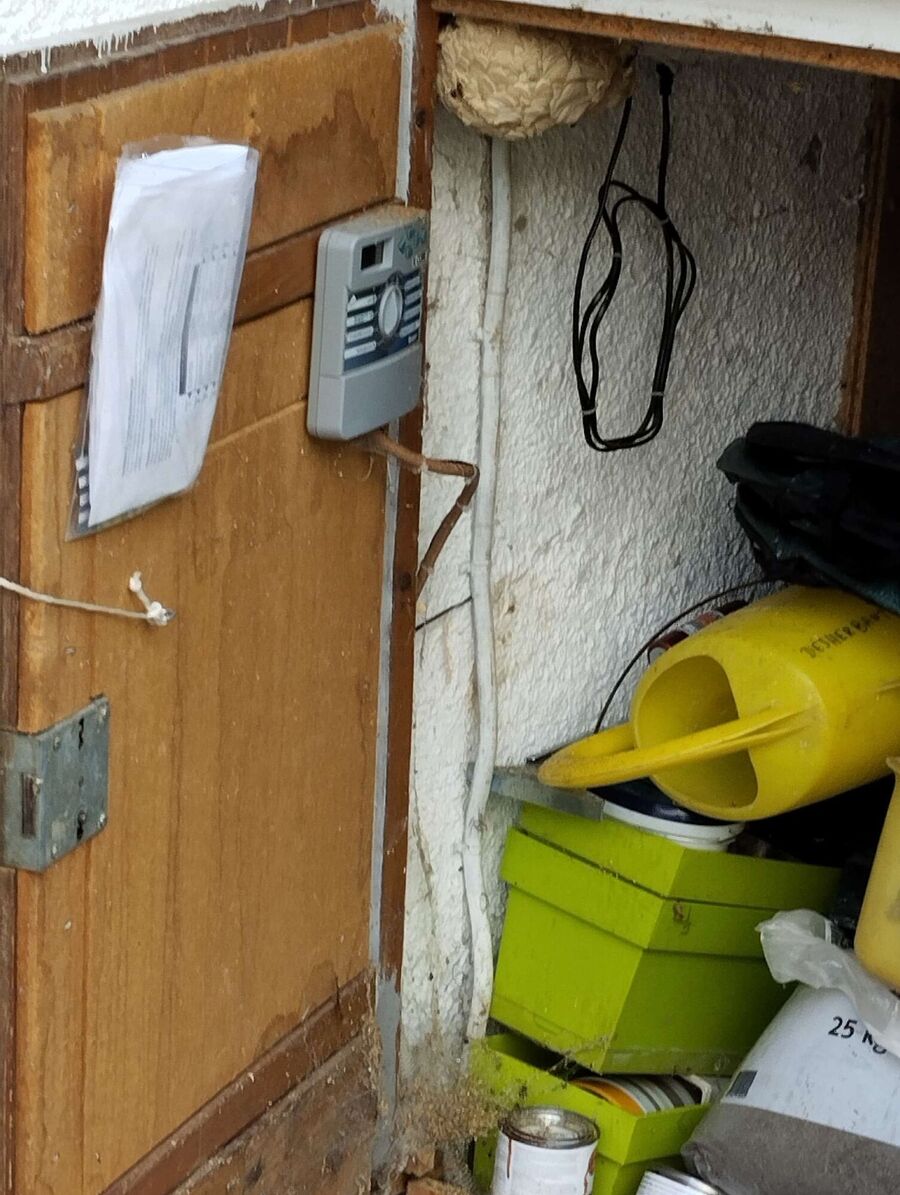 Relocate bees & remove bee nest