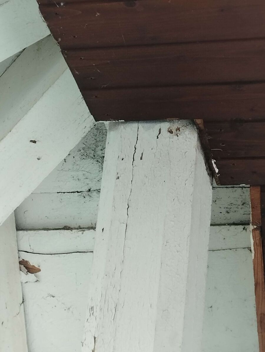 Remove bee nest