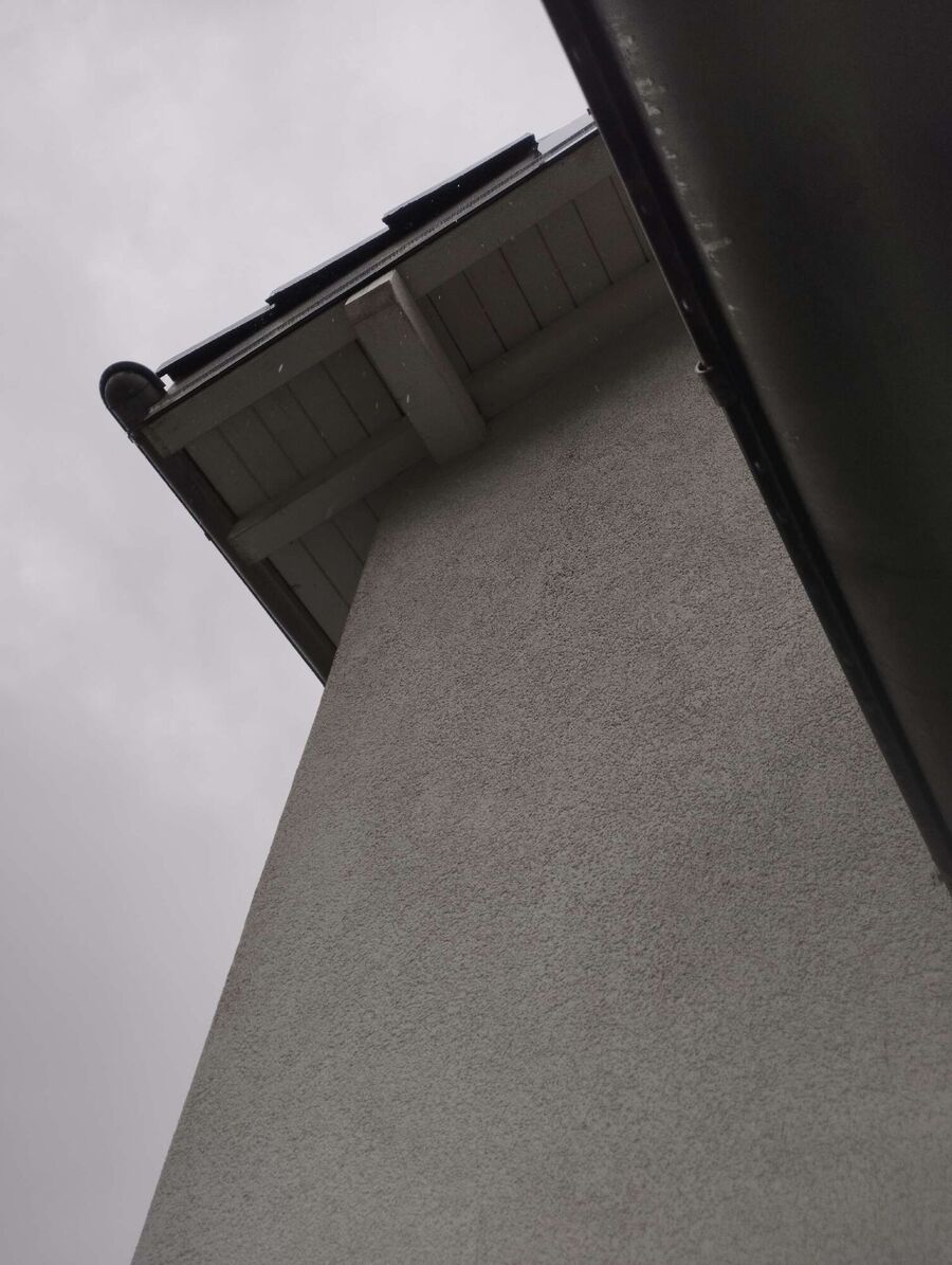 Bee nest at the house remove