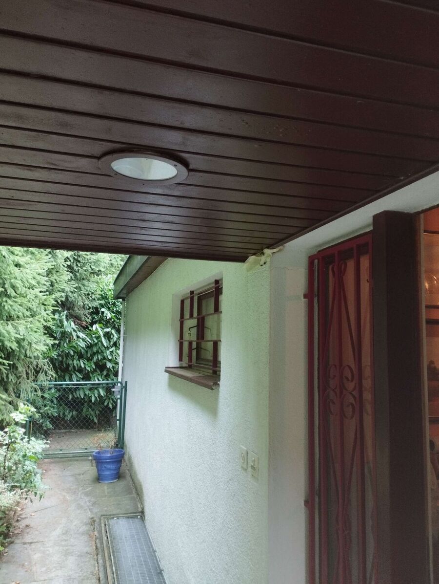 Relocate bees & remove bee nest