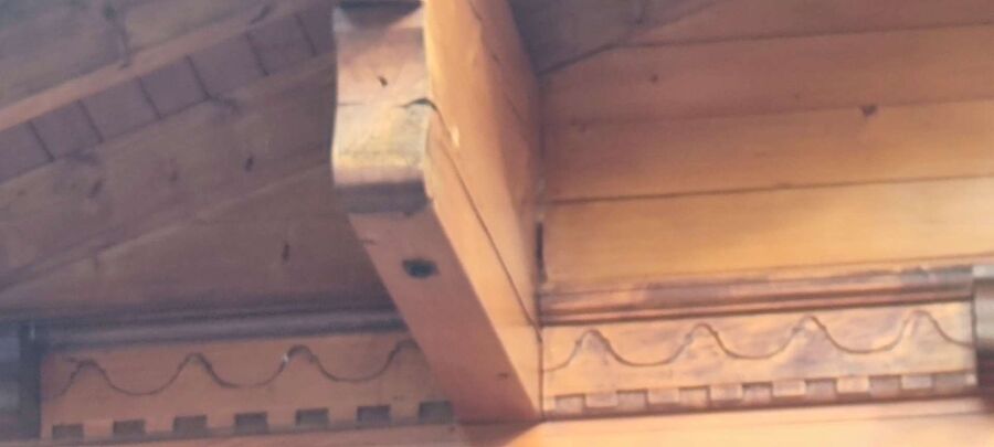 Bee nest at the house remove