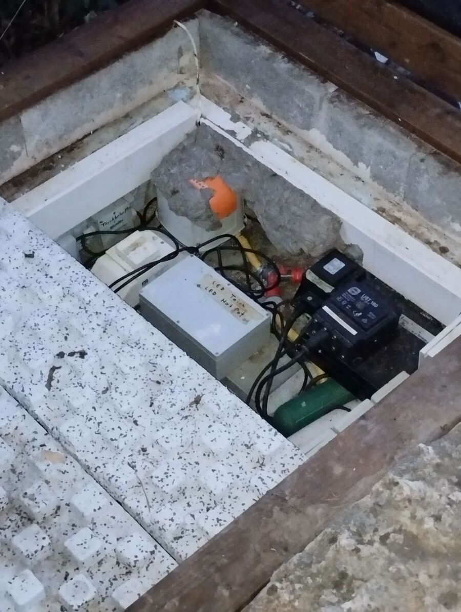 Relocate bees & remove bee nest