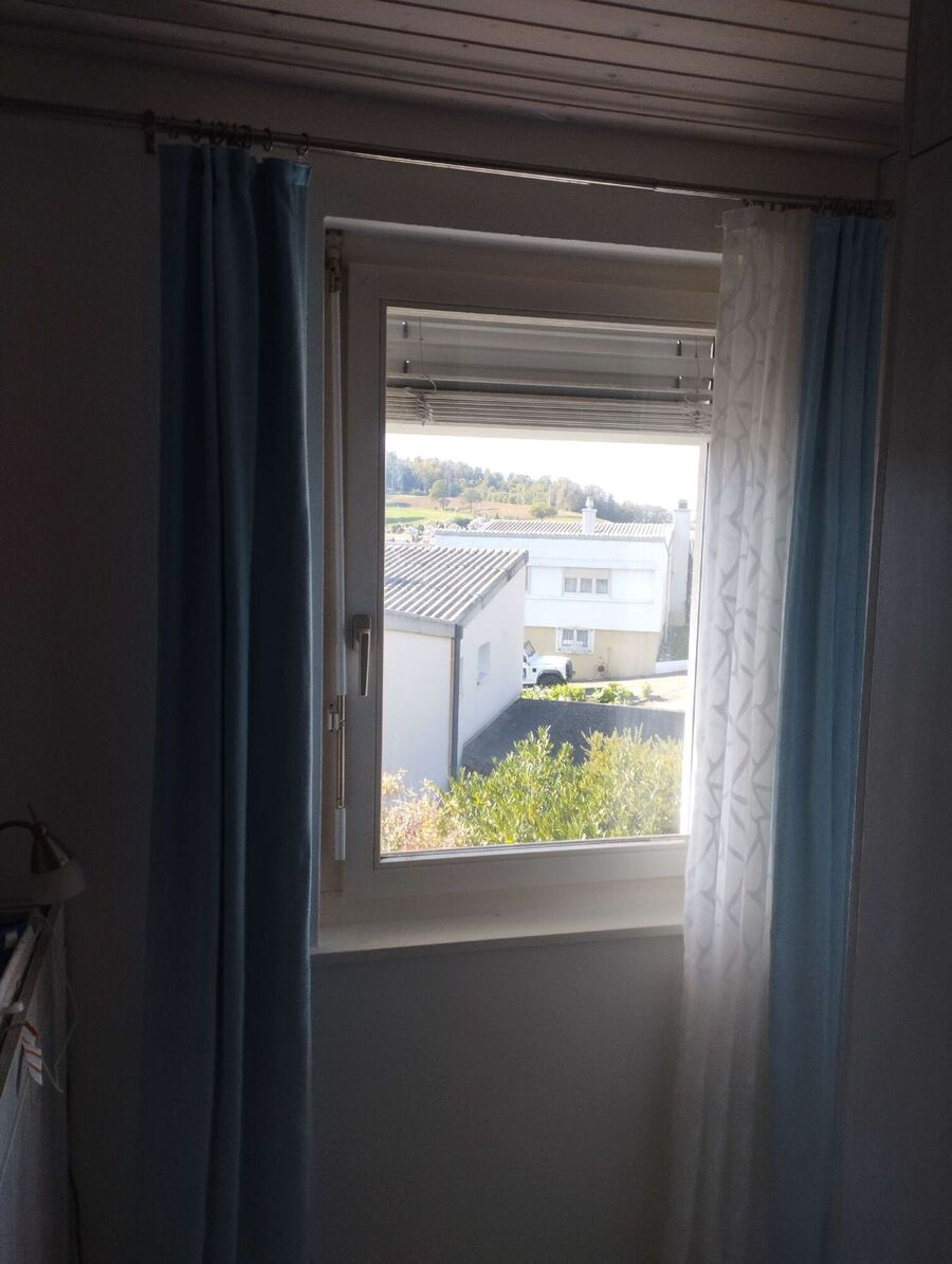 Bee nest at the house remove