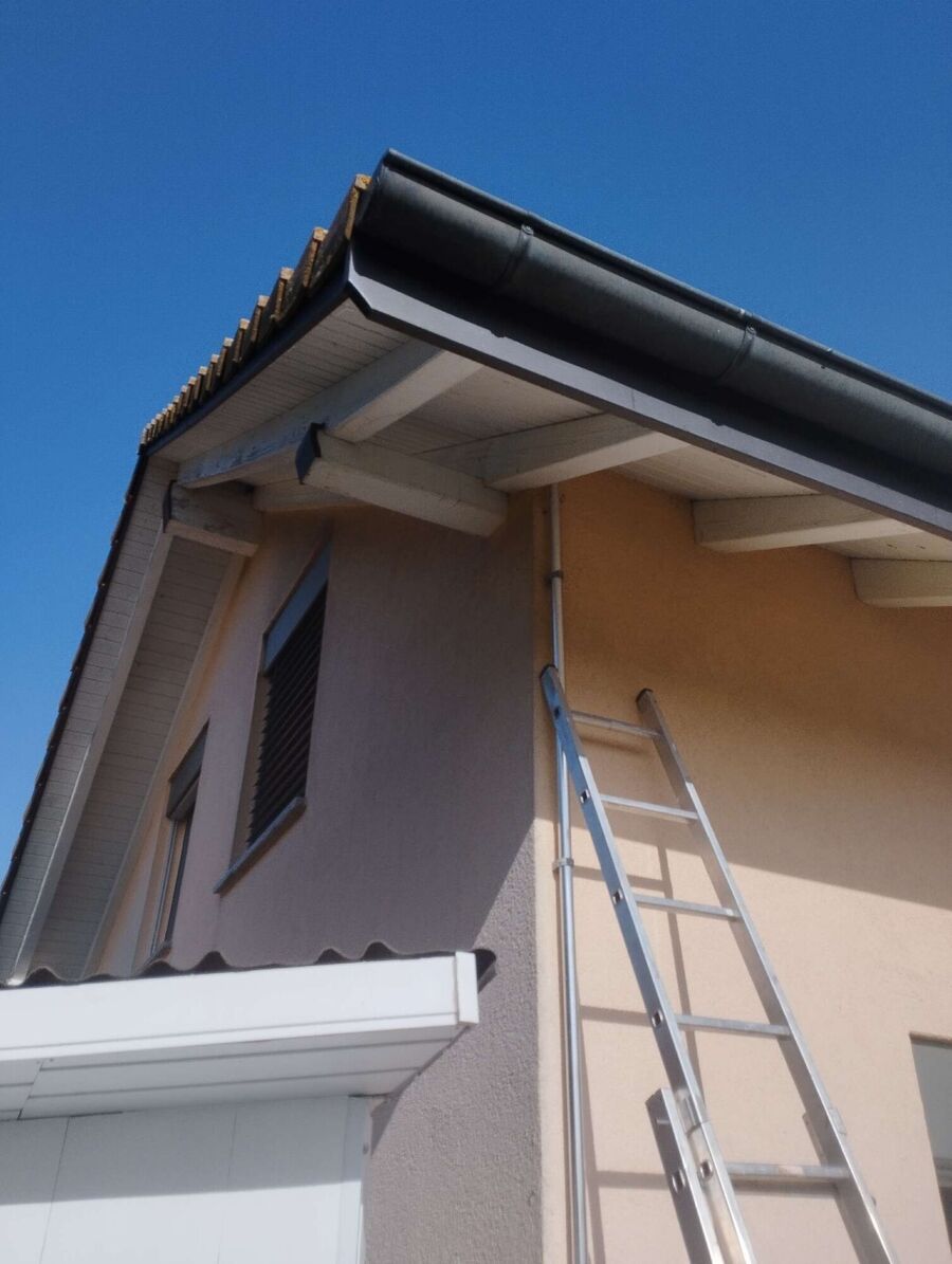 Bee nest at the house remove