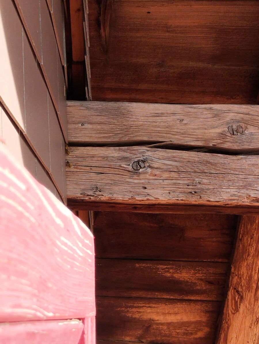 Bee nest at the house remove