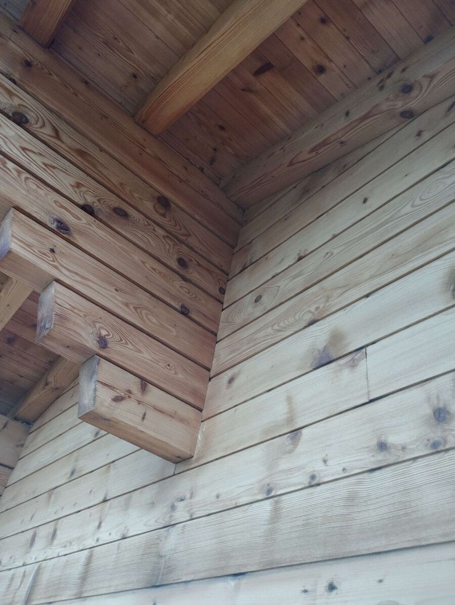 Bee nest at the house remove