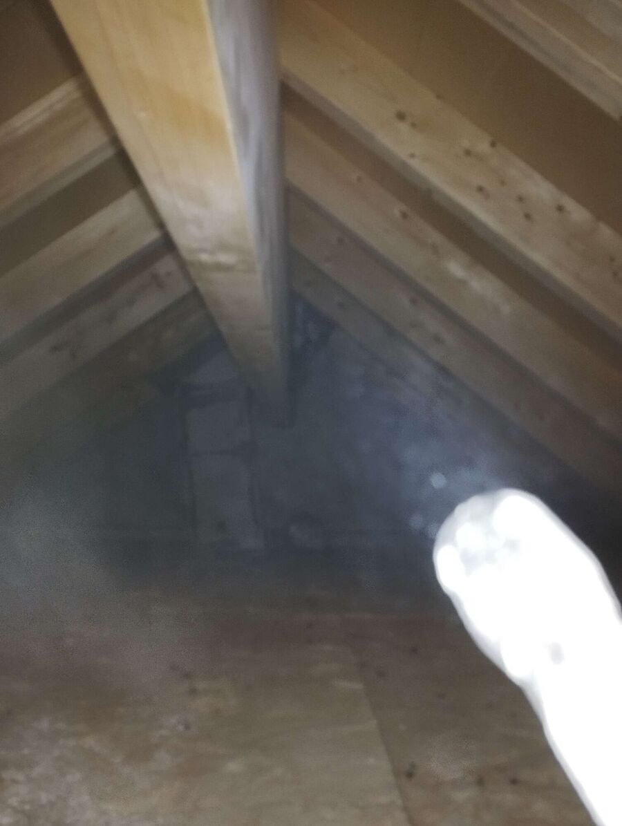 Bee nest at the house remove