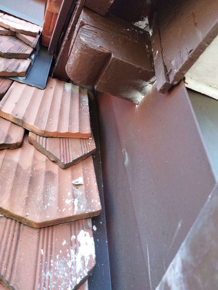 Bee nest at the house remove