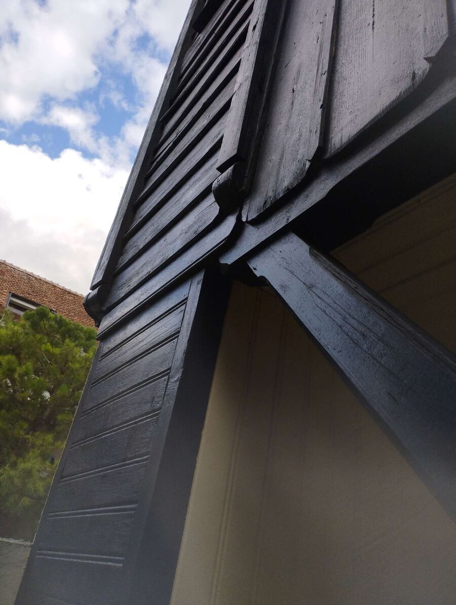 Bee nest at the house remove