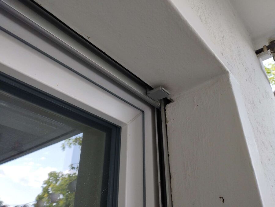 Relocate bees & remove bee nest