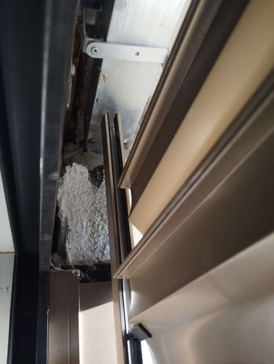 Bee nest at the house remove