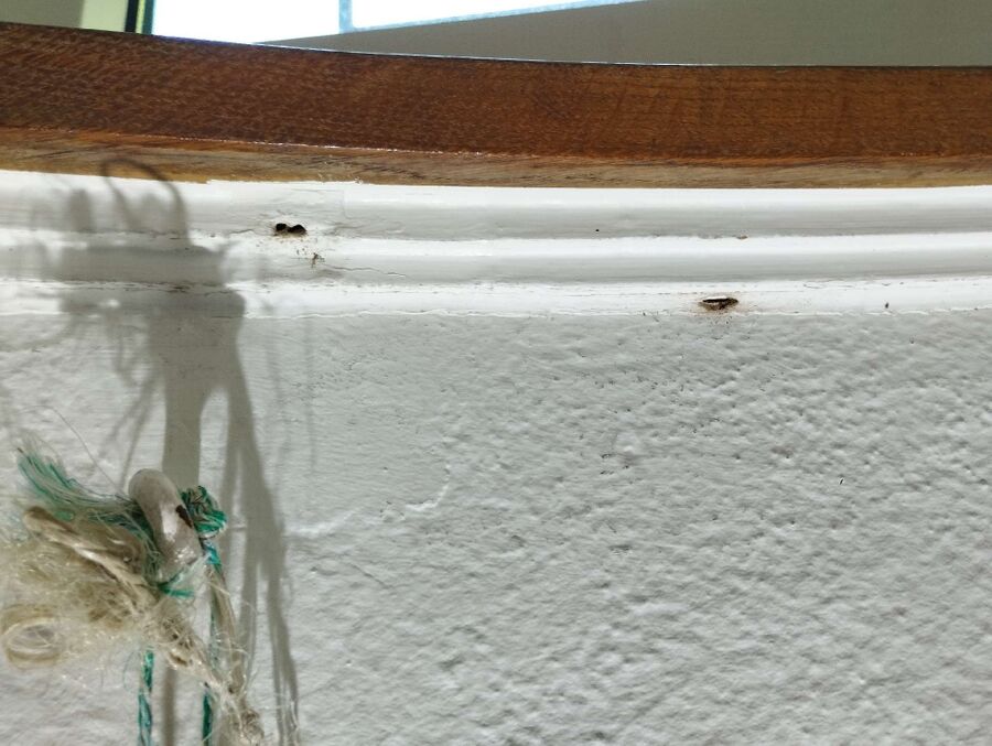 Bee nest at the house remove