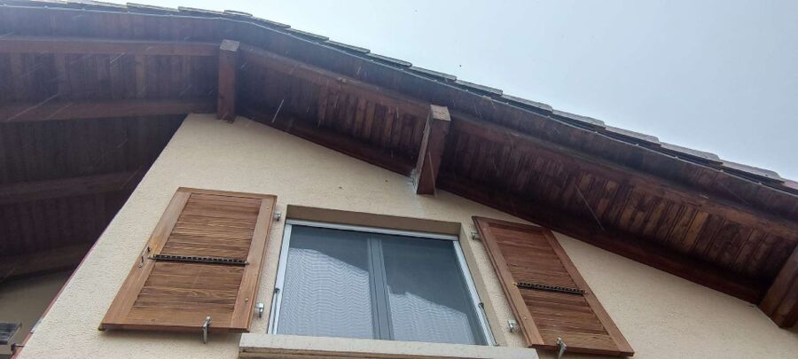 Bee nest at the house remove