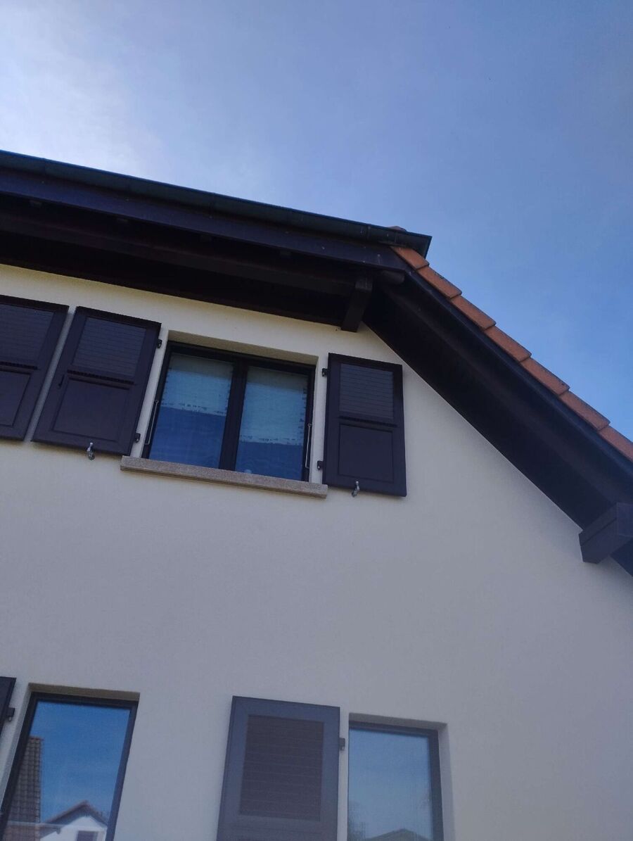 Bee nest at the house remove