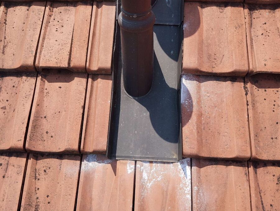 Bee nest at the house remove