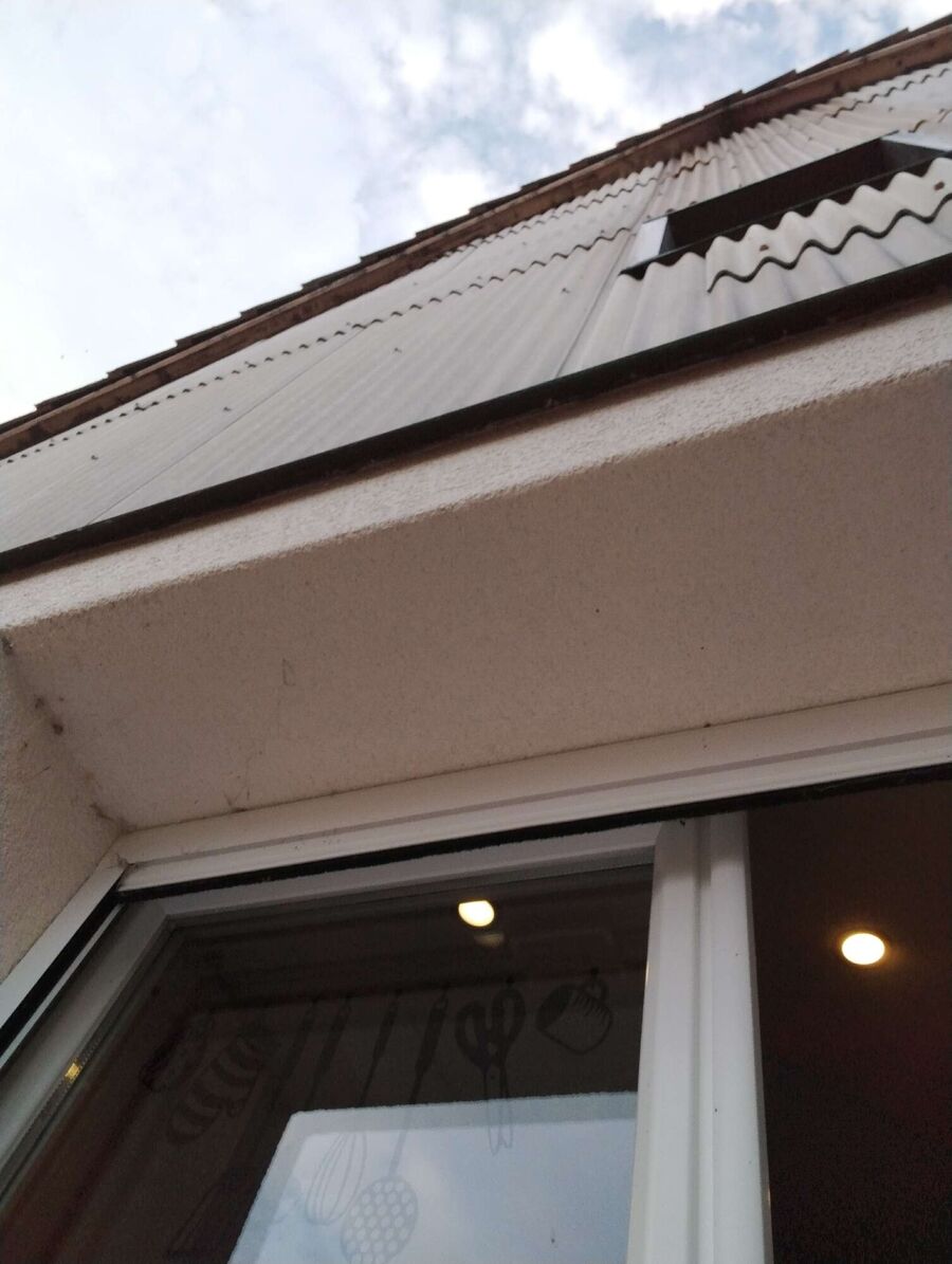 Bee nest at the house remove