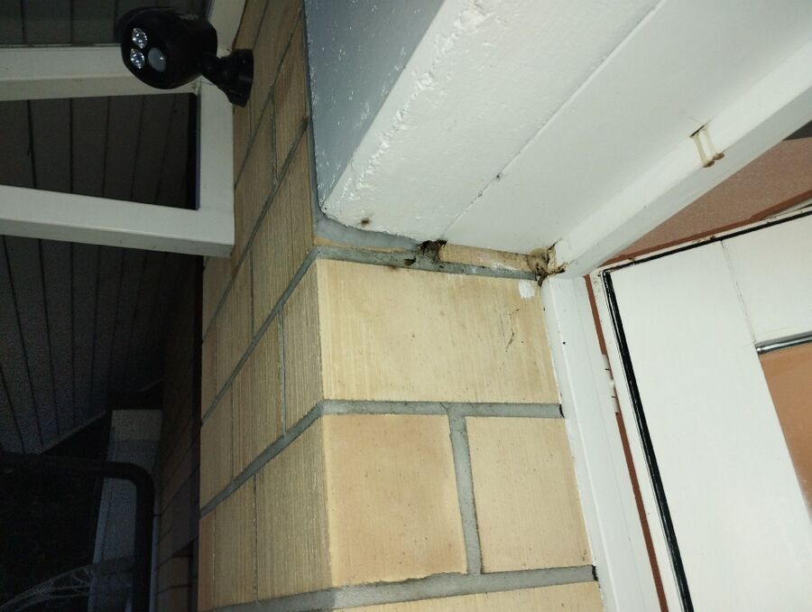 Bee nest at the house remove