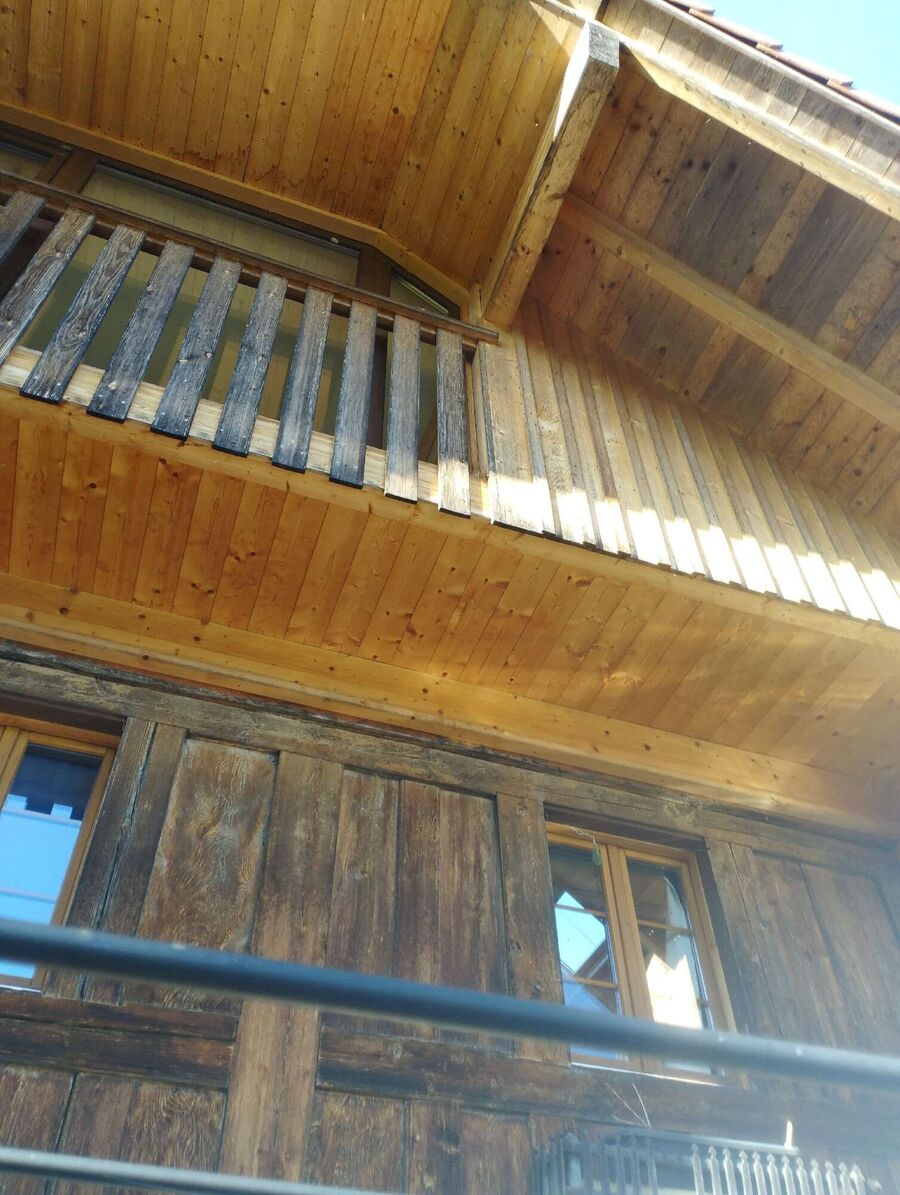 Relocate bees & remove bee nest