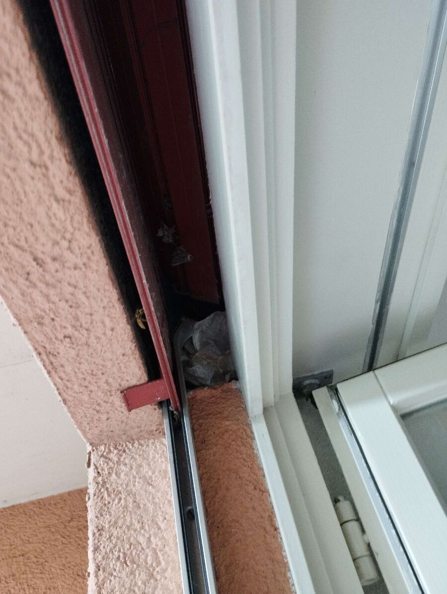 Bee nest at the house remove