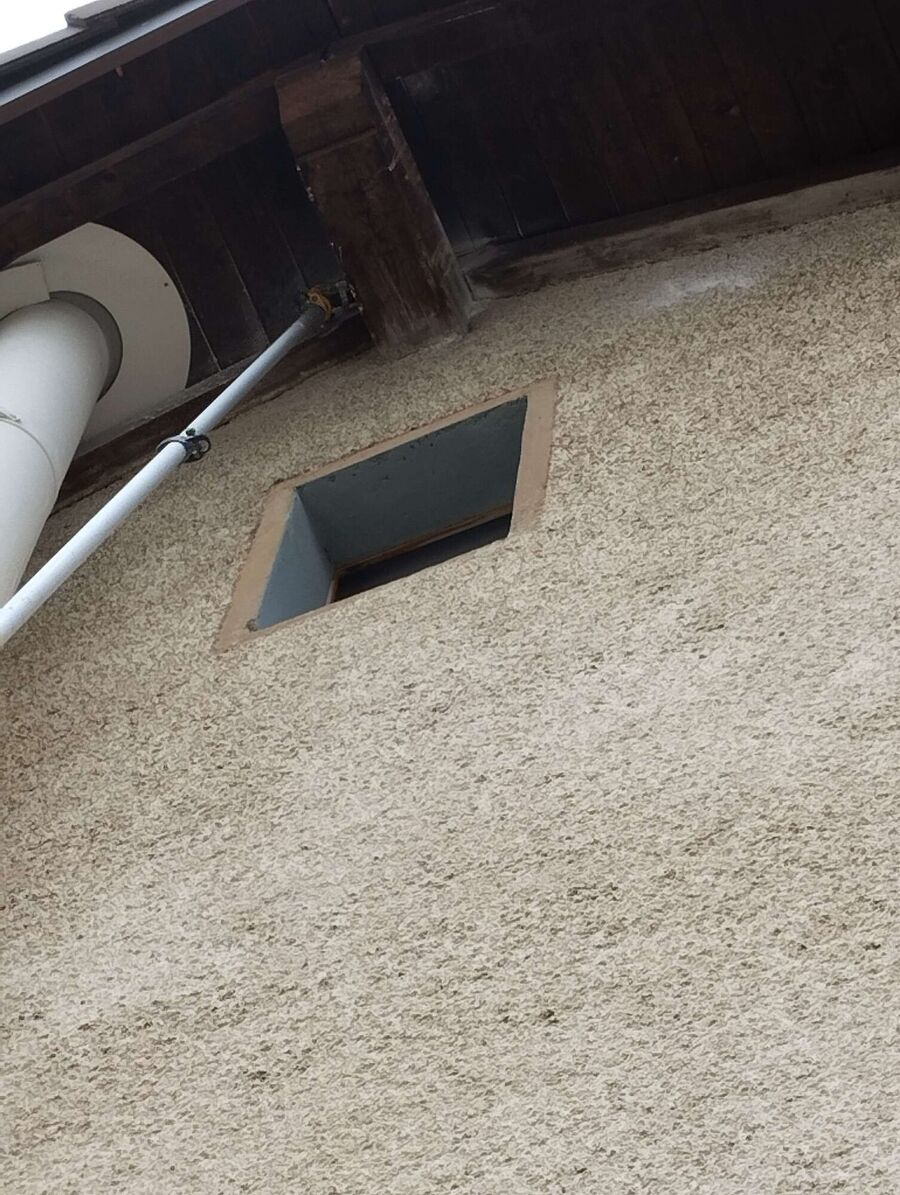 Bee nest at the house remove