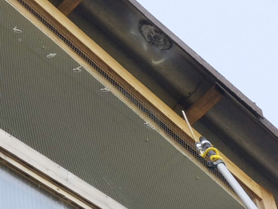 Relocate bees & remove bee nest