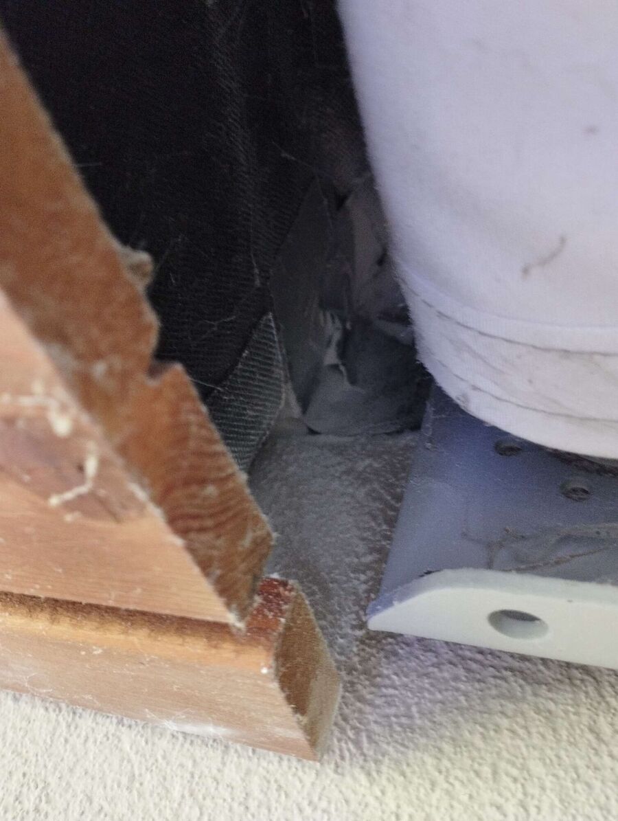 Bee nest at the house remove