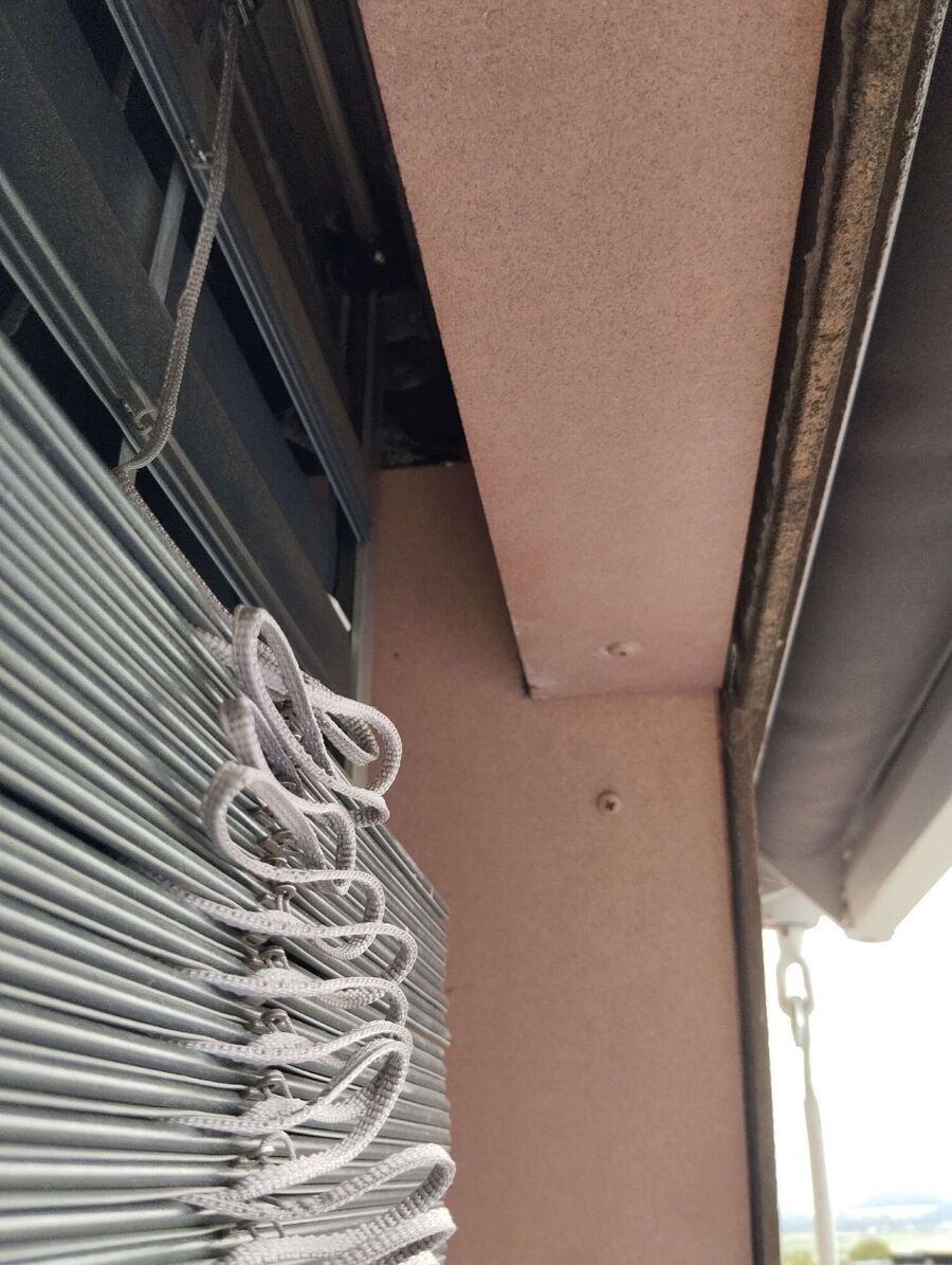 Relocate bees & remove bee nest