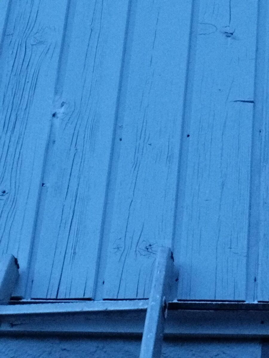 Bee nest at the house remove