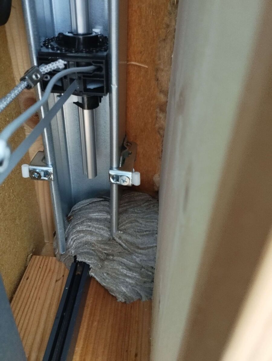 Bee nest at the house remove