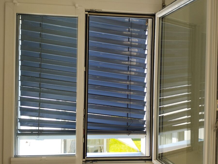 Relocate bees & remove bee nest