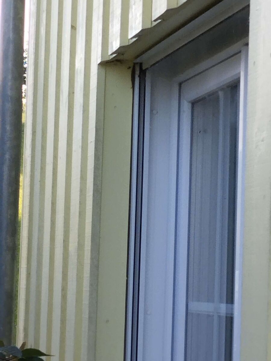 Relocate bees & remove bee nest