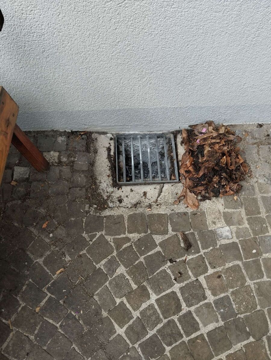 Remove bee nest