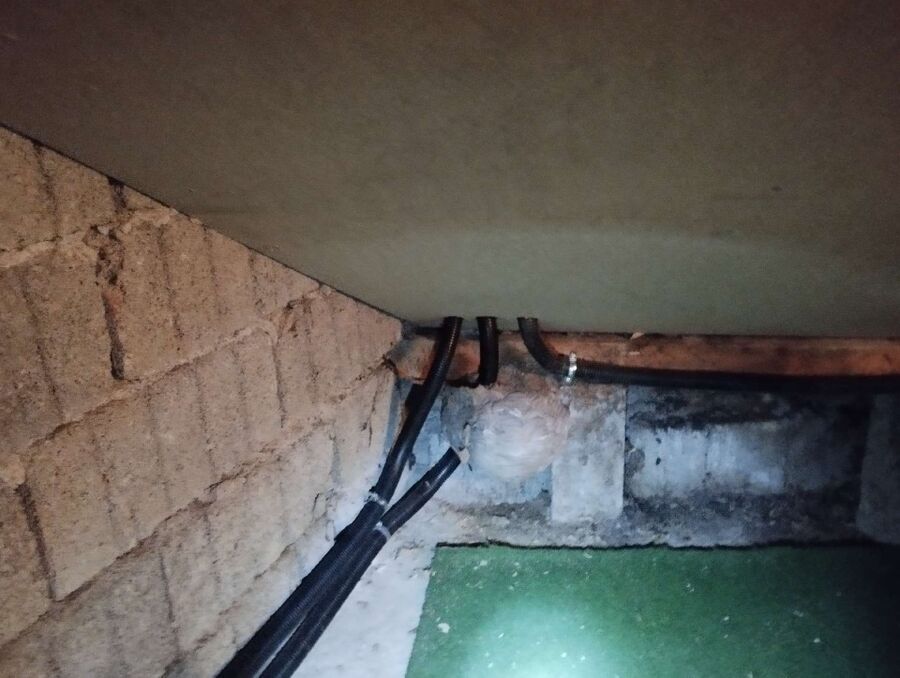 Relocate bees & remove bee nest