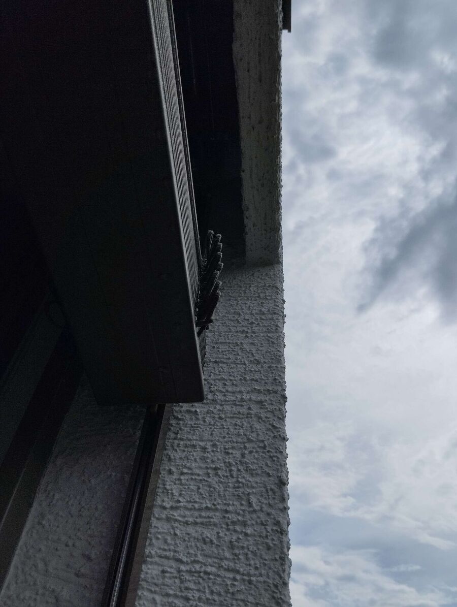 Bee nest at the house remove