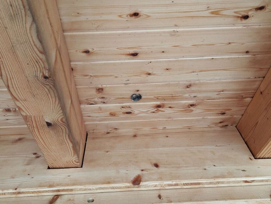 Bee nest at the house remove