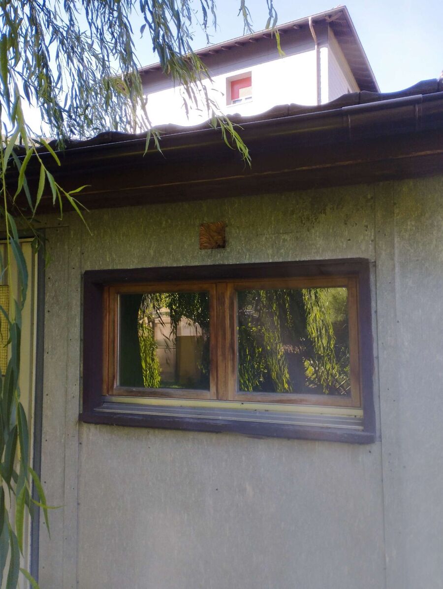 Bee nest at the house remove