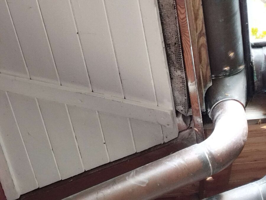 Bee nest at the house remove