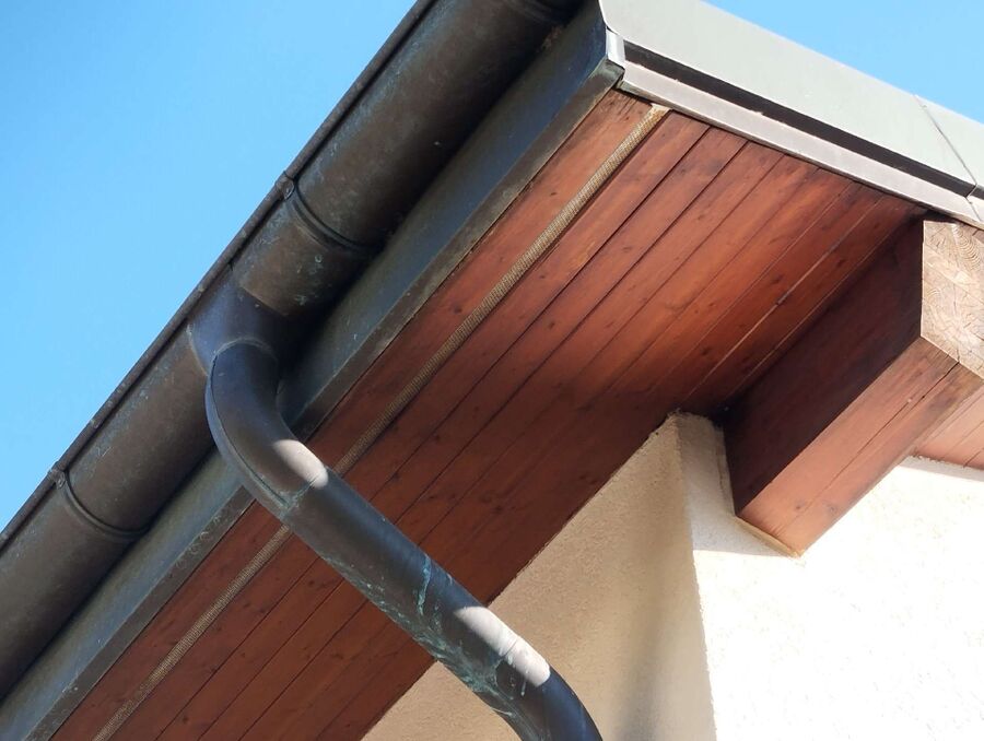 Relocate bees & remove bee nest