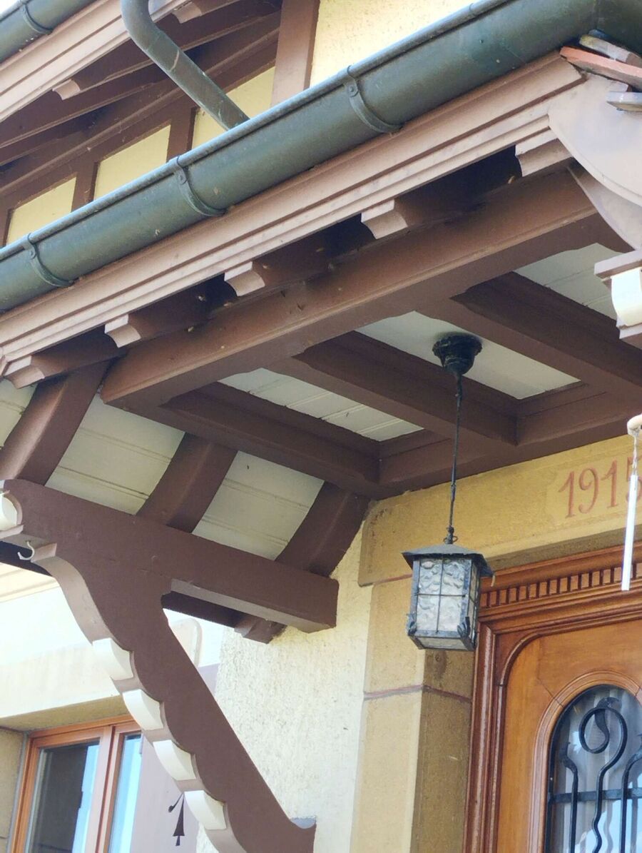 Relocate bees & remove bee nest