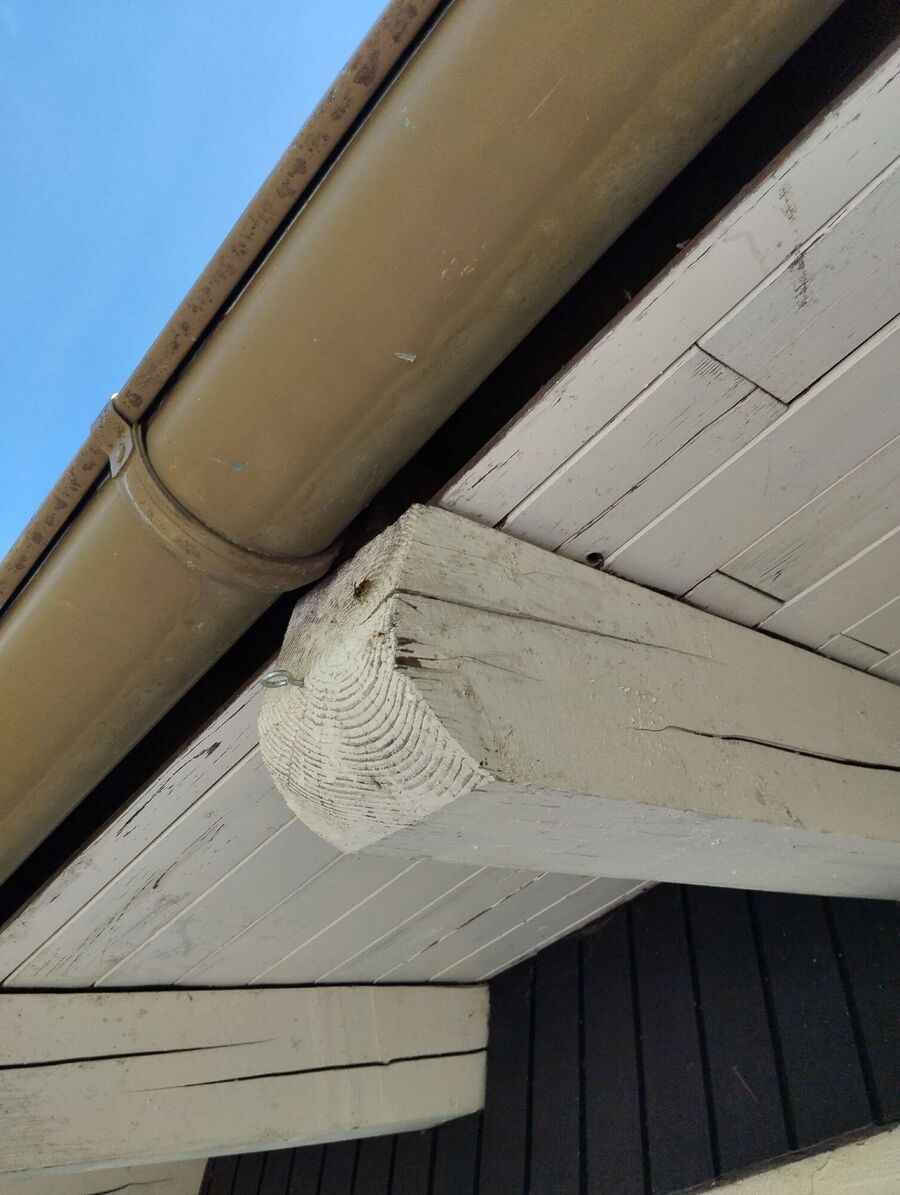 Bee nest at the house remove