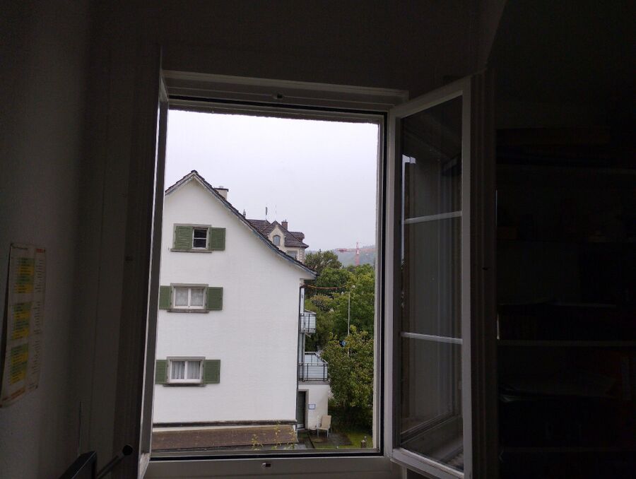 Relocate bees & remove bee nest