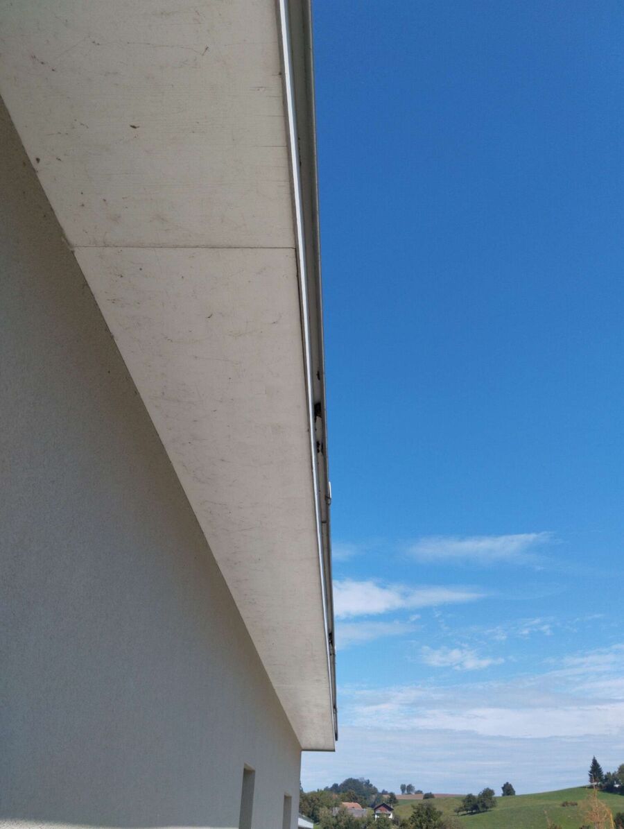 Bee nest at the house remove