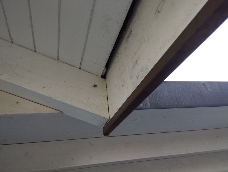 Bee nest at the house remove