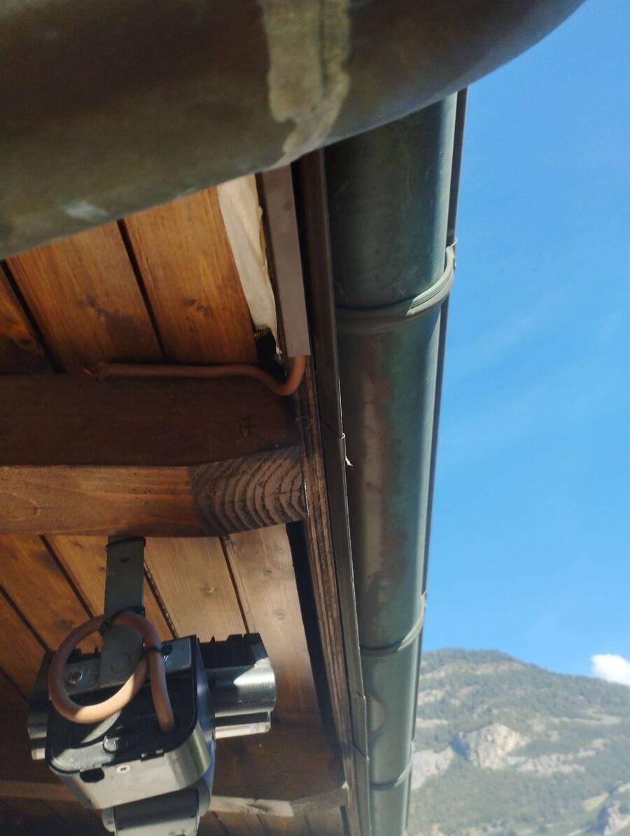 Bee nest at the house remove