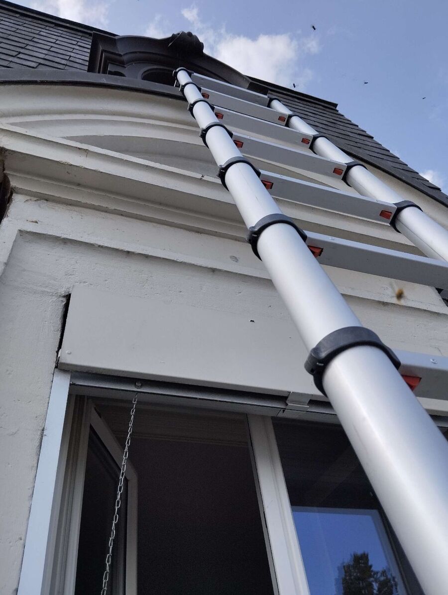 Bee nest at the house remove