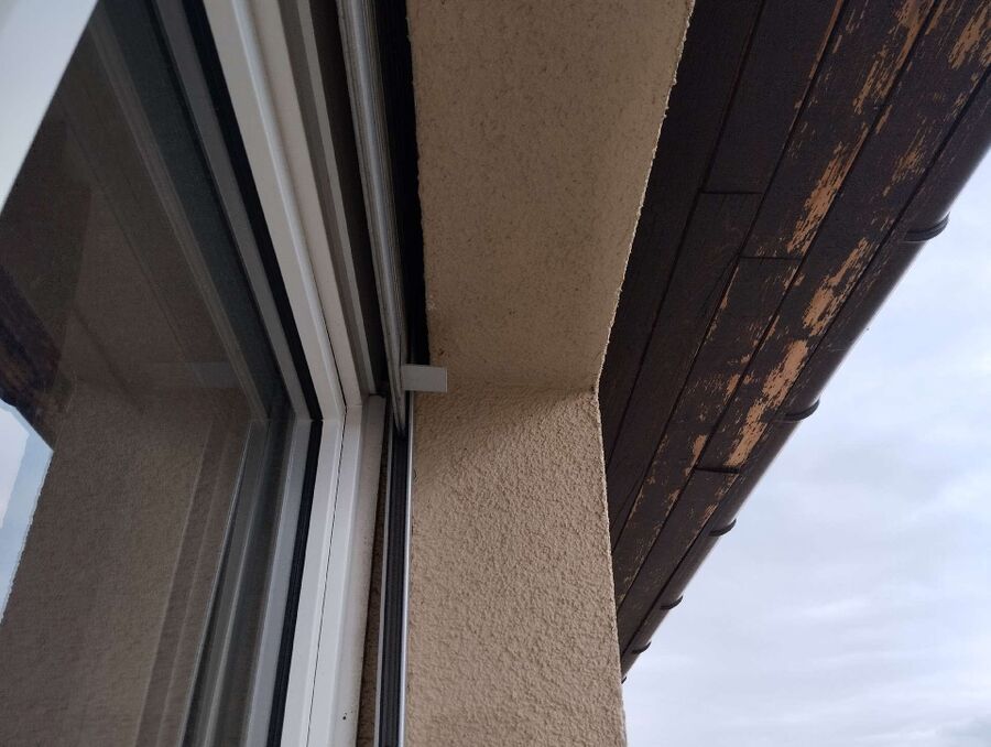 Relocate bees & remove bee nest