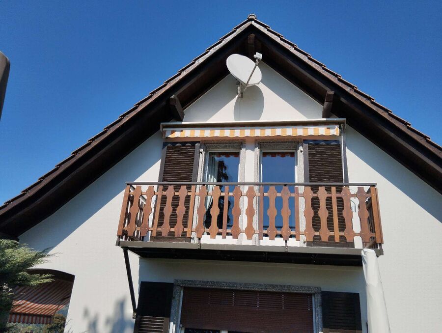 Bee nest at the house remove